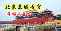 操p网址中国北京-东城古宫旅游风景区